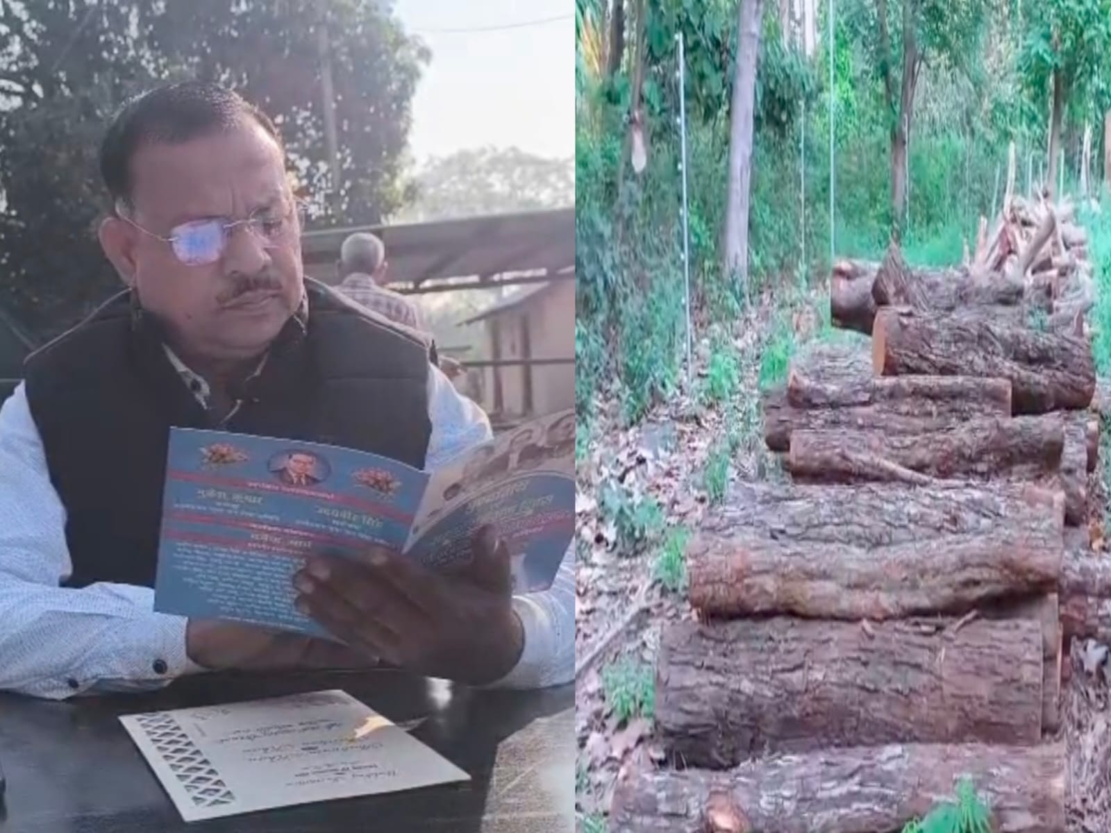 मिशन “अंकुश” में टांडा रेंज की बड़ी कार्रवाई: आधा दर्जन तस्कर गिरफ्तार, 6 वाहन सीज़, लाखों की खैर-सागौन बरामद 